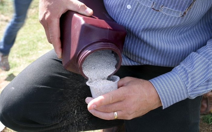 Trong khi đó việc rải tro xuống đất được nhiều gia đình chọn nơi tổ chức là nhà riêng. Họ chọn khu vực đồng cỏ của trang trại hoặc khu vườn của gia đình.