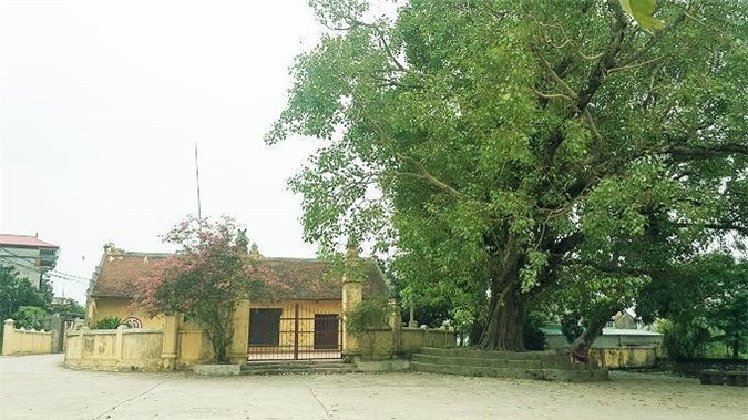 Cách quốc lộ 1A chỉ 1km nhưng khi dạo bước vào làng, du khách dễ dàng cảm nhận được sự yên bình, thư thái vốn có của các làng quê vùng đồng bằng Bắc bộ với cây đa, giếng nước, sân đình.