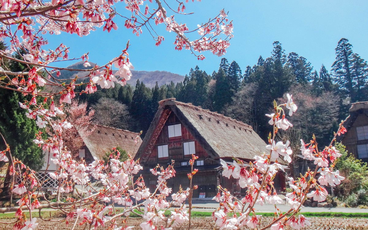 Vào năm 1995, UNESCO công nhận toàn bộ quần thể làng Shirakawa-go là Di sản văn hóa thế giới. Mời độc giả xem video: Ngôi làng xa hoa bậc nhất không có ô tô. Nguồn: VTC14