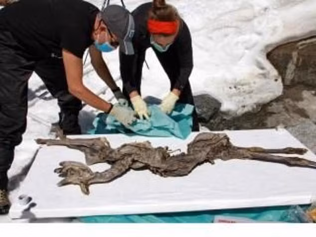 Do vị trí tìm thấy xác ướp khá hiểm trở nên con người chỉ có thể tiếp cận bằng cách leo núi trong nhiều tiếng đồng hồ.