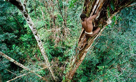 Họ leo lên nhà như vượn