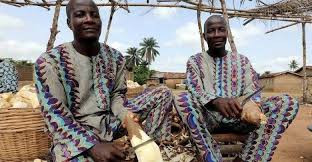 Hiện các chuyên gia chưa tìm ra lời giải về mặt y học cho số lượng ca sinh đôi ở thị trấn Igbo-Ora cao hơn những nơi khác trên thế giới.