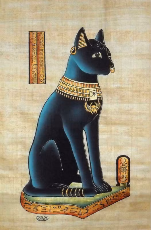 Khi những con mèo chết vì bệnh tật hay các lý do tự nhiên, người Ai Cập sẽ thể hiện sự đau buồn, tiếc thương bằng cách cạo lông mày. Đây được xem là cách người dân Ai Cập thể hiện nỗi đau khi những con mèo chết.