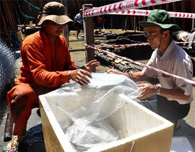 Kết quả đợt khai quật, các chuyên gia thu được hơn 5.000 cổ vật, trong đó có 42 độc bản quý hiếm. 5 năm trước, một nhà khoa học nước ngoài đã vẽ ra một bản đồ cho những con đường thương mại trên biển, trong đó có mũi tên hướng vào Quảng Ngãi.