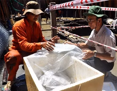 Kết quả đợt khai quật, các chuyên gia thu được hơn 5.000 cổ vật, trong đó có 42 độc bản quý hiếm. 5 năm trước, một nhà khoa học nước ngoài đã vẽ ra một bản đồ cho những con đường thương mại trên biển, trong đó có mũi tên hướng vào Quảng Ngãi.