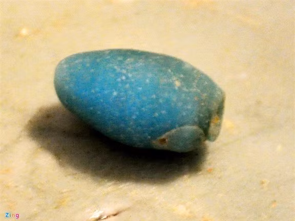Hạt đá màu xanh trông giống viên ngọc, đồ trang sức duy nhất được tìm thấy trong con tàu cổ chìm ở vùng biển Bình Châu.