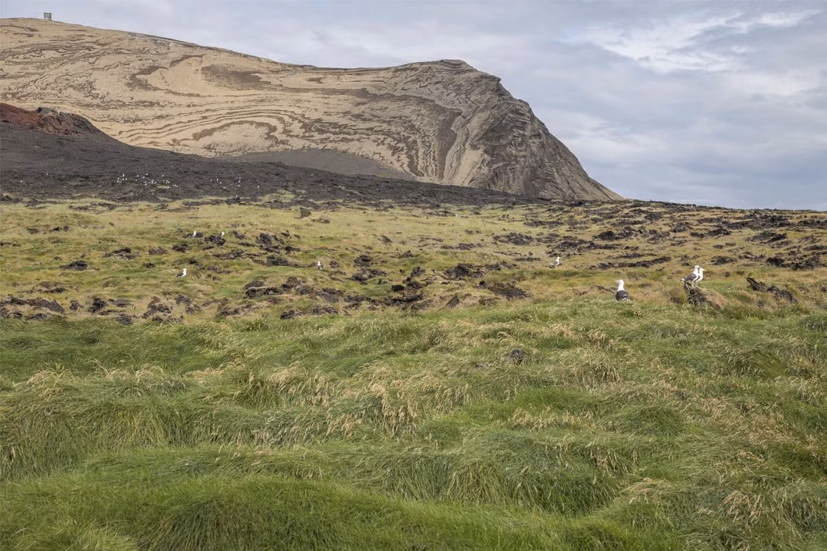 Theo đó, Surtsey trở thành một trong những hòn đảo mới hình thành trên đại dương. Kể từ khi hình thành đến nay, hòn đảo này được sử dụng chủ yếu với mục đích khoa học.