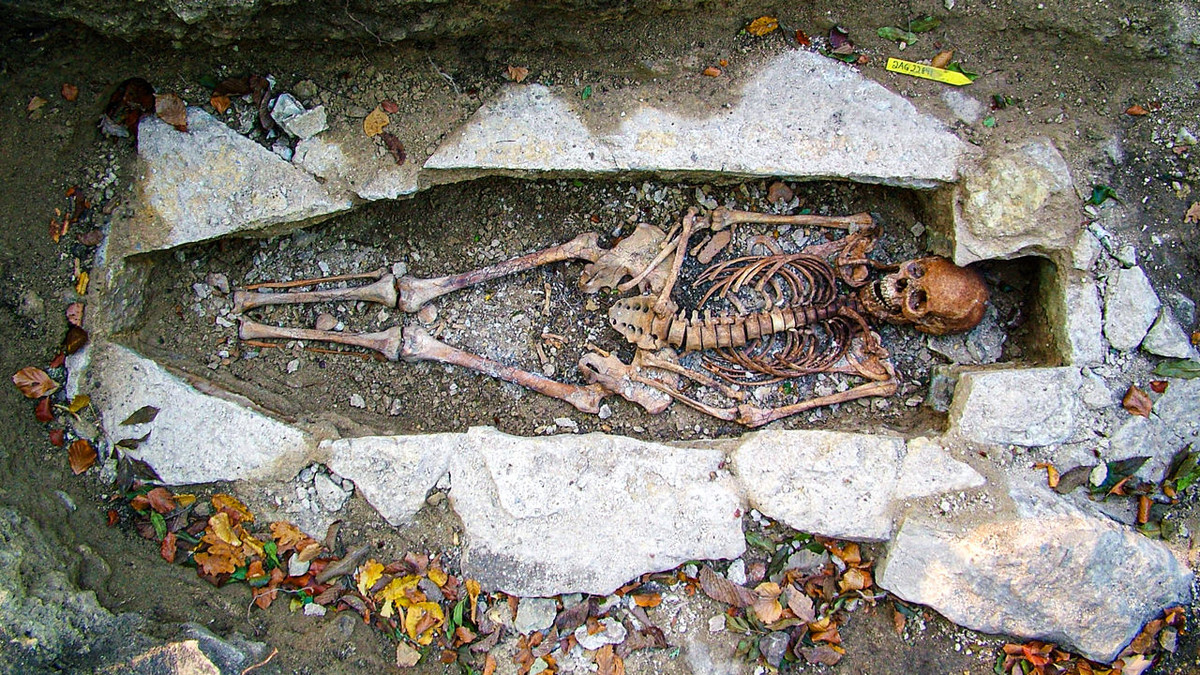 Với kết quả phân tích ADN này, người Viking có làn da sẫm màu, mái tóc đen hoặc nâu sẫm.