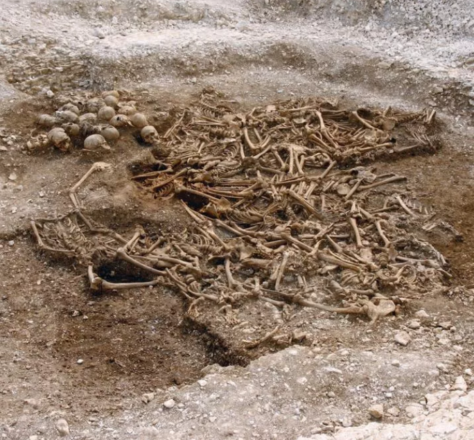 Thông qua nghiên cứu ADN của 400 bộ hài cốt khai quật từ các ngôi mộ cổ thuộc về chiến binh Viking, các chuyên gia phát hiện họ mang trong mình dòng máu chủ yếu thuộc về các dân tộc ở Nam Âu và châu Á.