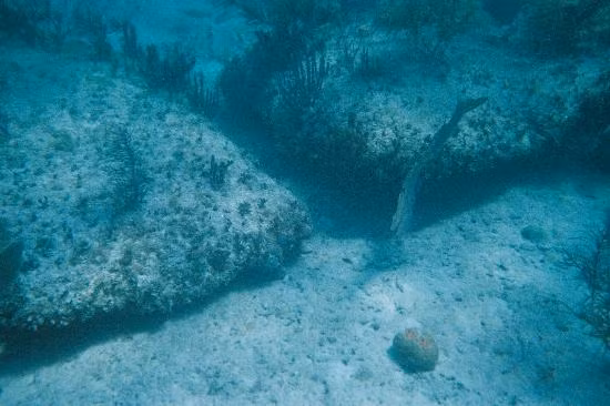 Nhiều giả thuyết được đưa ra nhưng chưa tìm được chứng cứ chứng minh. Vì vậy, đến nay, các chuyên gia nỗ lực giải mã nhằm sớm lý giải vai trò hay mục đích của công trình này là gì.