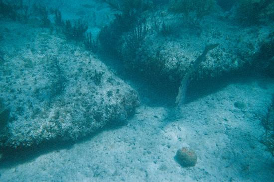 Nhiều giả thuyết được đưa ra nhưng chưa tìm được chứng cứ chứng minh. Vì vậy, đến nay, các chuyên gia nỗ lực giải mã nhằm sớm lý giải vai trò hay mục đích của công trình này là gì.