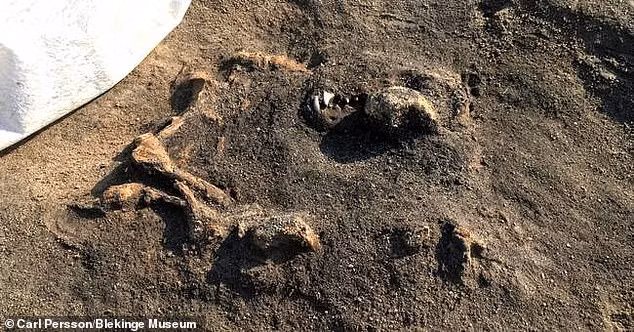 Trong cuộc khai quật tại khu chôn cất thời đồ đá ở Ljungaviken, Sölvesborg, Thụy Điển, các nhà khảo cổ phát hiện một ngôi mộ cổ hơn 8.000 tuổi.