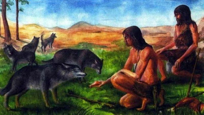 Con chó trong ngôi mộ cổ hơn 8.000 tuổi có thể là người bạn thân thiết với con người. Chính vì vậy, nó được chôn cất cùng chủ nhân quá cố.