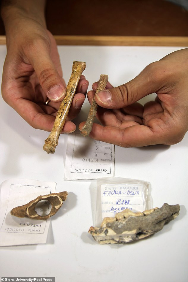 Điều này được lý giải qua việc trước đây các nhà khảo cổ tìm thấy những bộ hài cốt của con người mai táng cùng các món đồ quý giá trong các ngôi mộ cùng thời ở khu vực trên.