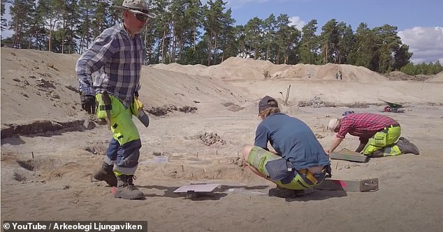 Chính vì vậy, các chuyên gia dự định đem bộ xương con chó về bảo tàng để tiếp tục nghiên cứu.