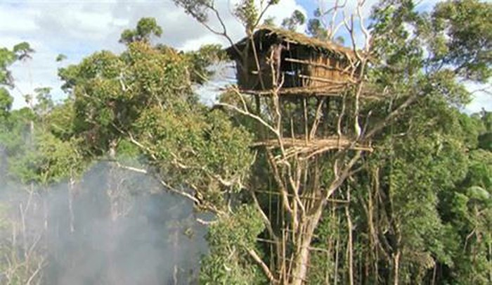 Bộ tộc làm nhà trên cây cao 50 m.