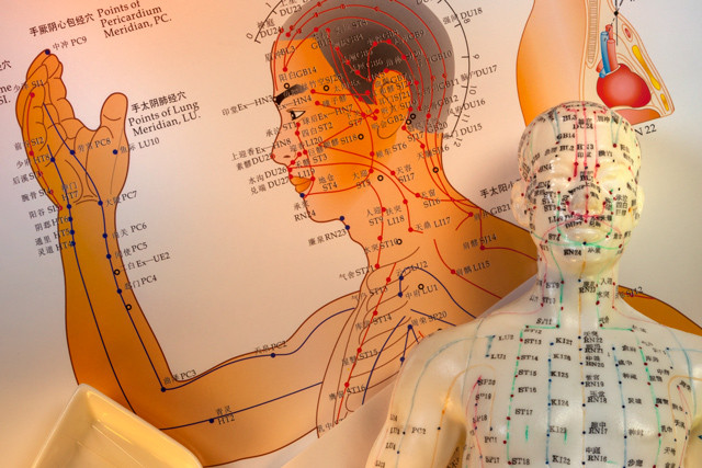 Theo các chuyên gia, những bản thảo này được viết tay vào năm 168 trước công nguyên. Do vậy, chúng trở thành những văn bản giải phẫu cổ nhất từng được phát hiện đến nay.