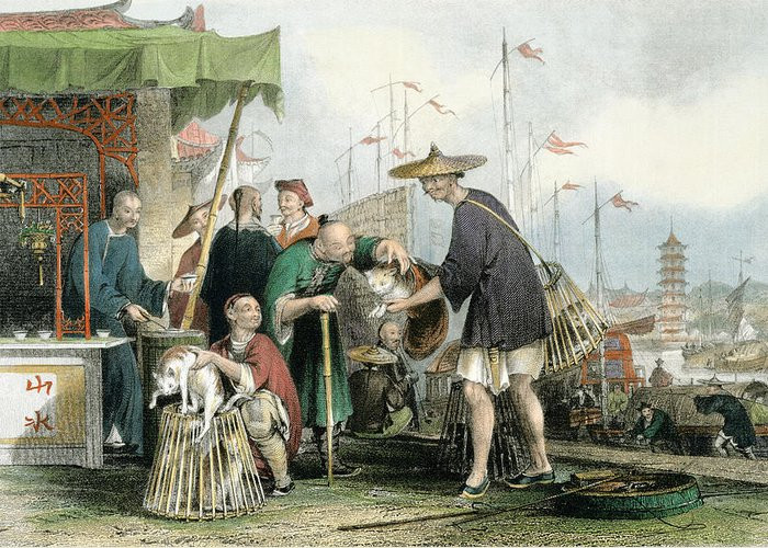 Kết quả nghiên cứu của các chuyên gia cho thấy nội dung trên các bản thảo 2.200 tuổi tìm thấy trong mộ cổ nói về cấu tạo cơ thể người và các huyệt đạo.