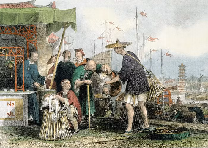 Kết quả nghiên cứu của các chuyên gia cho thấy nội dung trên các bản thảo 2.200 tuổi tìm thấy trong mộ cổ nói về cấu tạo cơ thể người và các huyệt đạo.