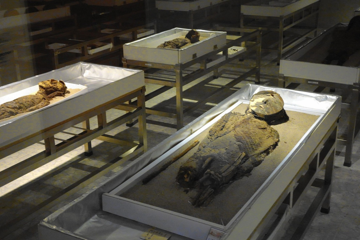 Thế nhưng, chúng không còn nguyên vẹn như ban đầu do tác động của môi trường và con người.