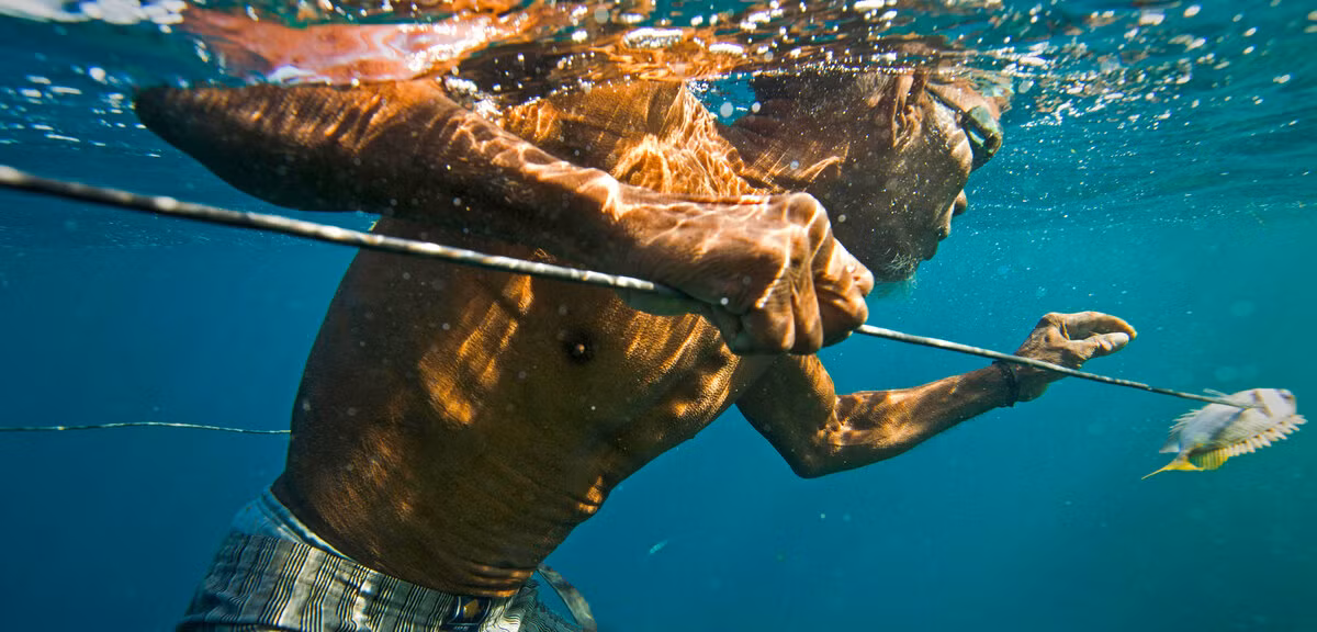 Nhờ khả năng bơi, lặn tốt, người Bajau có thể bắt cá, cầu gai, hải sâm, bạch tuộc cùng nhiều loại hải sản khác.