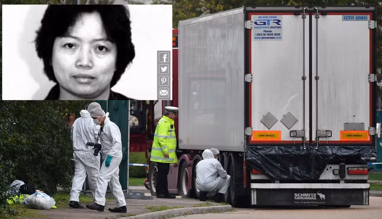 Trịnh Thuý Bình từng theo cha vượt biên đến Mỹ trước khi bị trục xuất về nước. Về sau, "Chị Bình" bắt đầu thực hiện đường dây buôn người. Sau khi đến Mỹ cùng chồng sinh sống năm 1982, "Chị Bình" mở một cửa hàng tại khu phố người Hoa. Các mặt hàng bày bán chủ yếu dành cho những người Phúc Châu sống trên đất Mỹ.