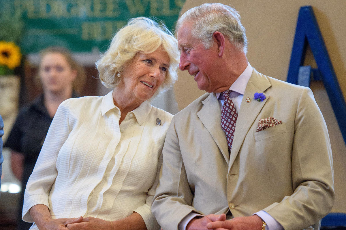 Thái tử Charles và bà Camilla gặp nhau lần đầu trong trận đấu polo năm 1971. Từ đây, hai người rơi vào lưới tình và yêu nhau say đắm. Thế nhưng, sau đó, hai người chia tay và cưới người khác.