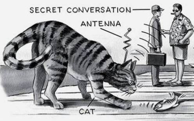 Bên cạnh chim bồ câu, CIA còn thực hiện chiến dịch mang mật danh Acoustic Kitty. Thực chất chiến dịch này là dùng mèo thực hiện nhiệm vụ nghe lén.