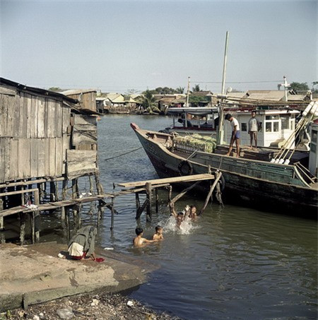 Bơi lội và đùa giỡn trên sông