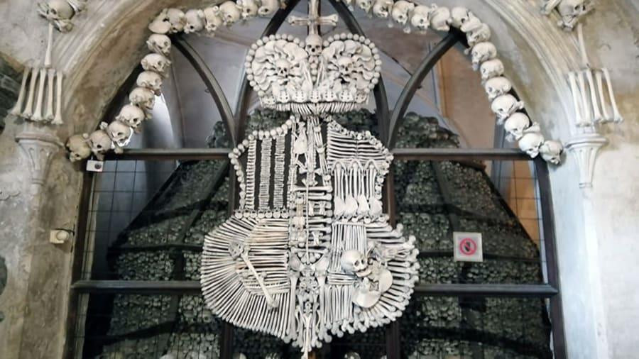 Số hài cốt được sử dụng để trang trí nhà thờ Sedlec Ossuary chủ yếu thuộc về những người tử vong vì bệnh dịch hạch.