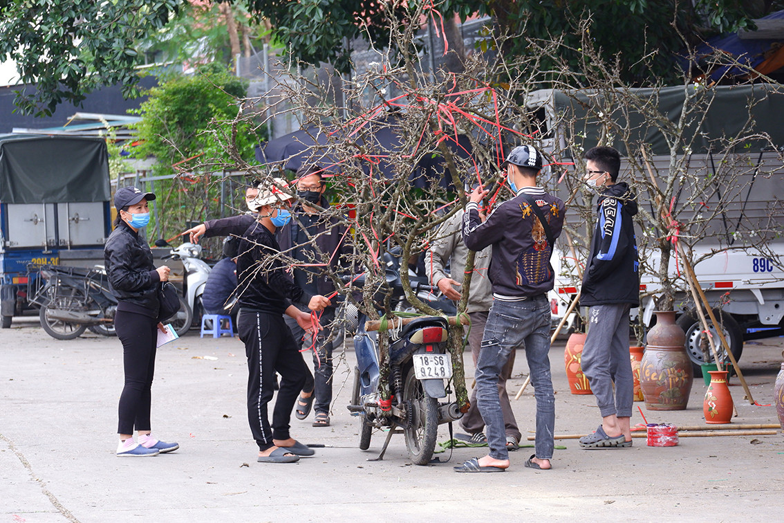 Ngoài đào Nhật Tân, chợ hoa Quảng Bá hiện cũng đang bán nhiều đào đá, đào núi.