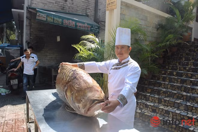 Tan muc ca ho khong lo nang hon ta o Sai Gon-Hinh-3