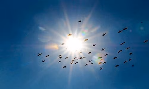 Giai ma hien tuong Equinox hai suc khoe dang nong du luan