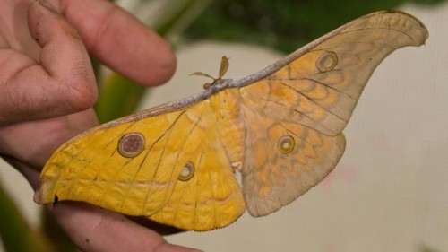 Loi giai cho bi an nhung sinh vat 