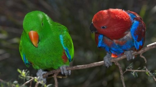 Loi giai cho bi an nhung sinh vat 