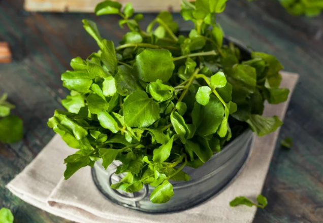 5 loi ich suc khoe tuyet voi cua rau cai xoong