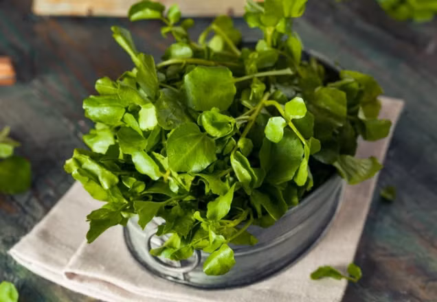 5 loi ich suc khoe tuyet voi cua rau cai xoong