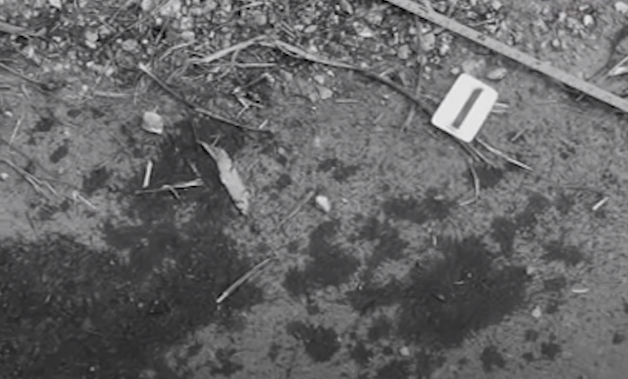 Khám nghiệm tử thi cho thấy, xác nạn nhân đã bị cháy đen, trên người có 12 vết đâm. Nguyên nhân tử vong do bị đứt mạch cảnh. Khám nghiệm hiện trường, Cảnh sát phát hiện rất nhiều vết máu loang lổ trên đường, vương vãi trên bãi cỏ. Gần xác nạn nhân, Cảnh sát phát hiện chiếc điện thoại được xác định là của người xấu số.