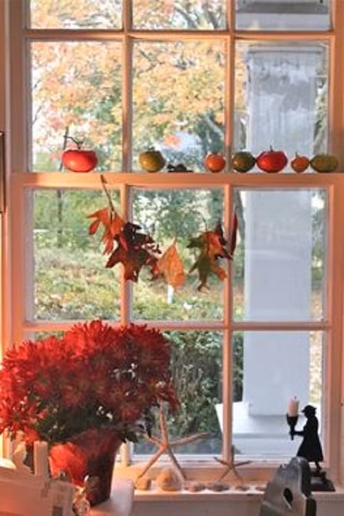 Chậu hoa đỏ rực nổi bật trước cửa sổ.