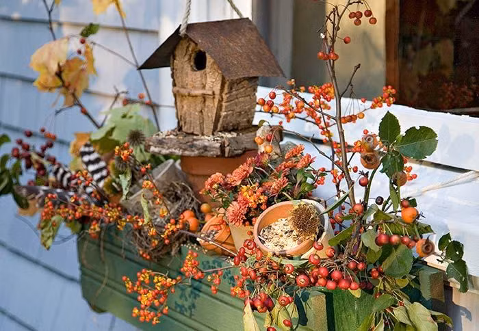 Bồn hoa trước cửa sổ được điểm xuyết bằng ngôi nhà nhỏ mộc mạc.