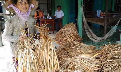 "Nuoi” luc binh, chuyen la doi nhung khong moi o mien Tay-Hinh-5