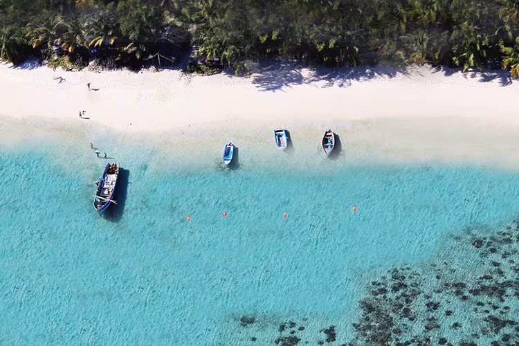 Với 14 biệt thự dọc trên bãi biển cát trắng trải dài của Nosy Ankao, Time + Tide tọa lạc giữa khu bảo tồn các loài sinh vật biển quý hiếm trong sách đỏ, tạo cơ hội khám phá tuyệt vời cho du khách.