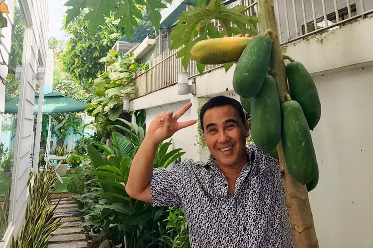 MC Quyền Linh tươi rói khi đi hái đu đủ trong khu vườn của mình.