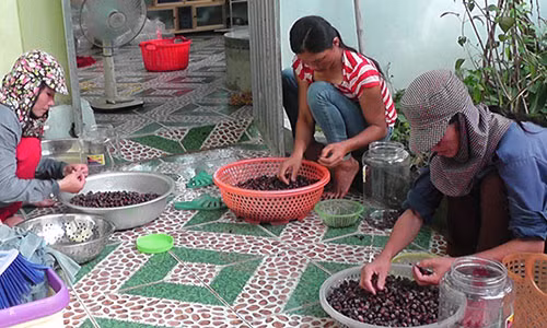 Do xo len rung hai sim, dut tui 700.000 dong/ngay-Hinh-5