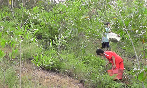 Do xo len rung hai sim, dut tui 700.000 dong/ngay-Hinh-2