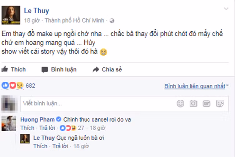 Người mẫu Lê Thúy hoang mang trước thông báo show của Ariana không diễn ra.