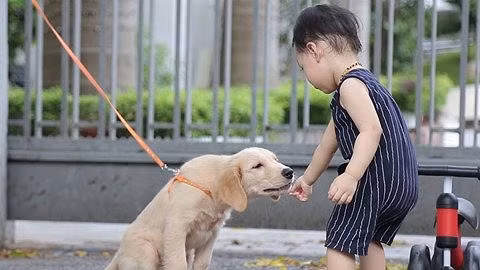 6. Không tiếp cận một con chó đang bị cột xích Tuyệt đối không được tiếp cận một con chó đang bị cột xích, nhốt trong chuồng hay đang ở phía sau hàng rào. Không thò tay vào chuồng hay qua rào để vuốt ve nó.