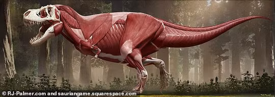 Chấn động công bố mới về khủng long bạo chúa - Hình 2 Chan dong cong bo moi ve khung long bao chua-Hinh-2