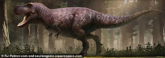 Chan dong cong bo moi ve khung long bao chua-Hinh-3