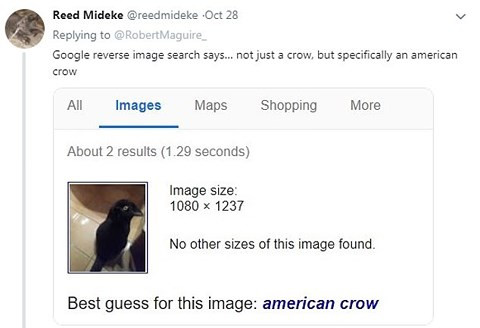 Su that sinh vat den gay tranh cai, Google cung bi lua-Hinh-2